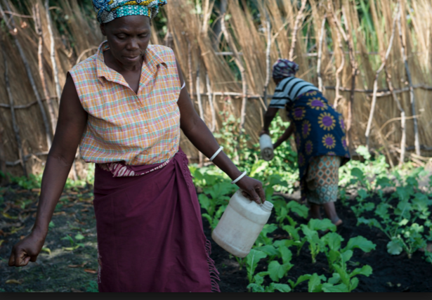Community Development Fund to Combat Poverty in Zambia